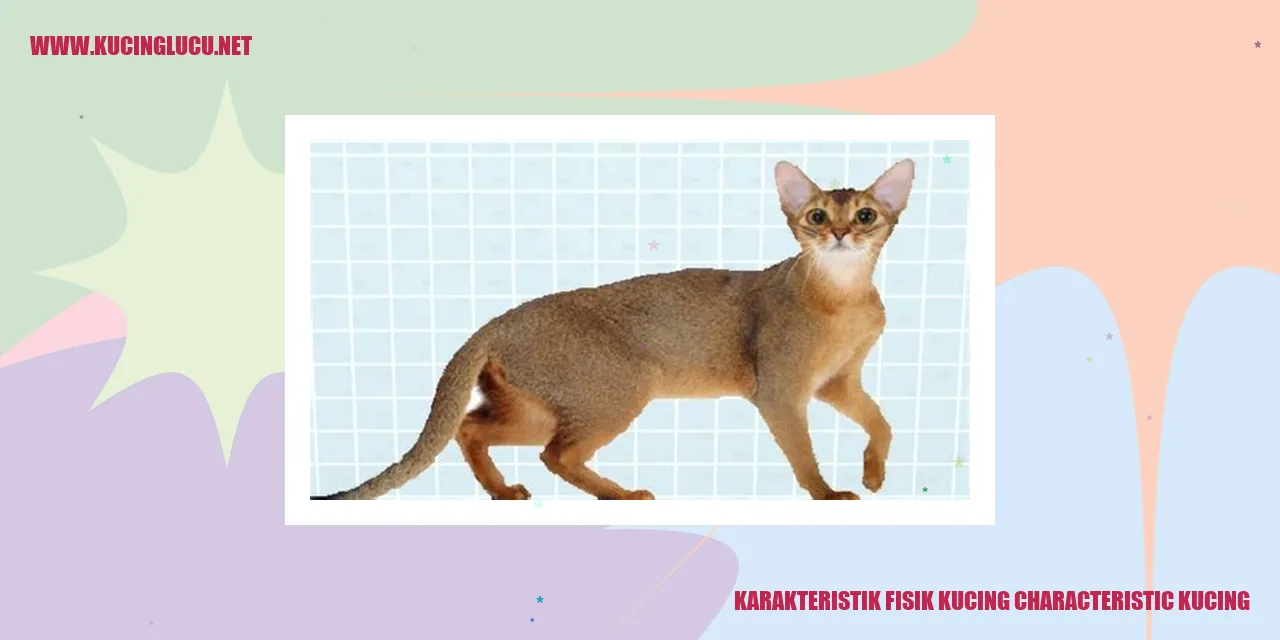 Kucing dengan Karakteristik Fisik yang Menggemaskan