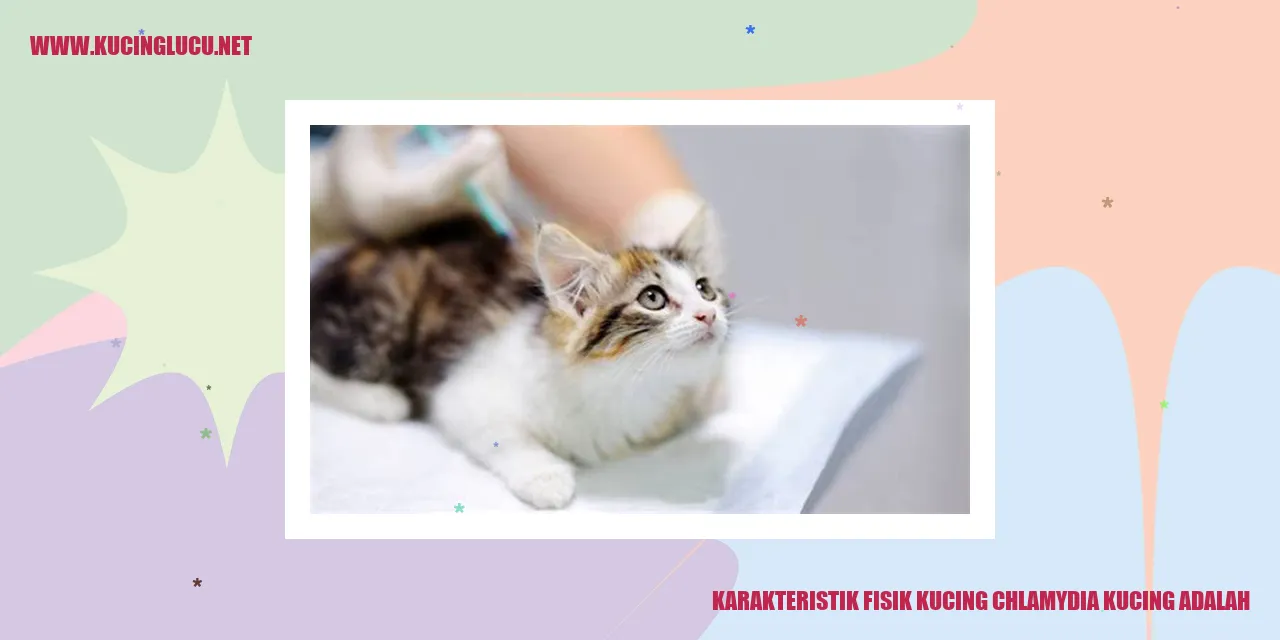 Gambar Kucing dengan Chlamydia