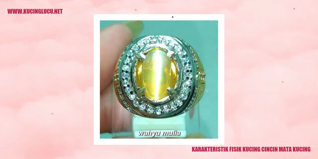 Karakteristik Fisik Kucing Cincin Mata Kucing
