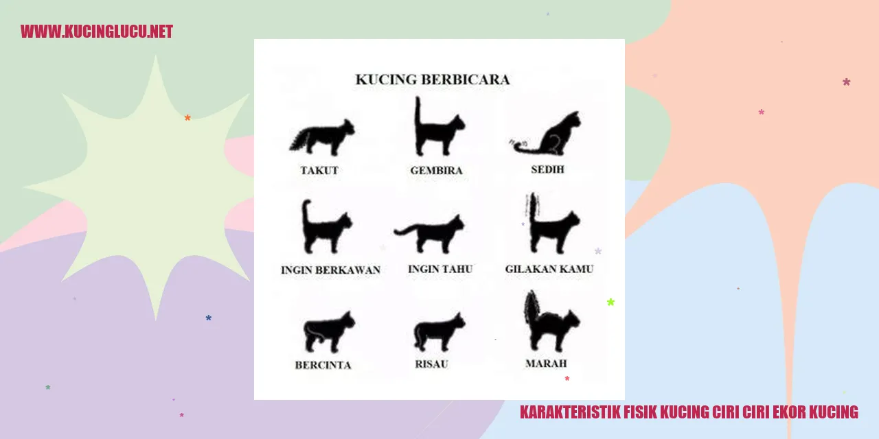 Gambar Kucing yang Menggemaskan