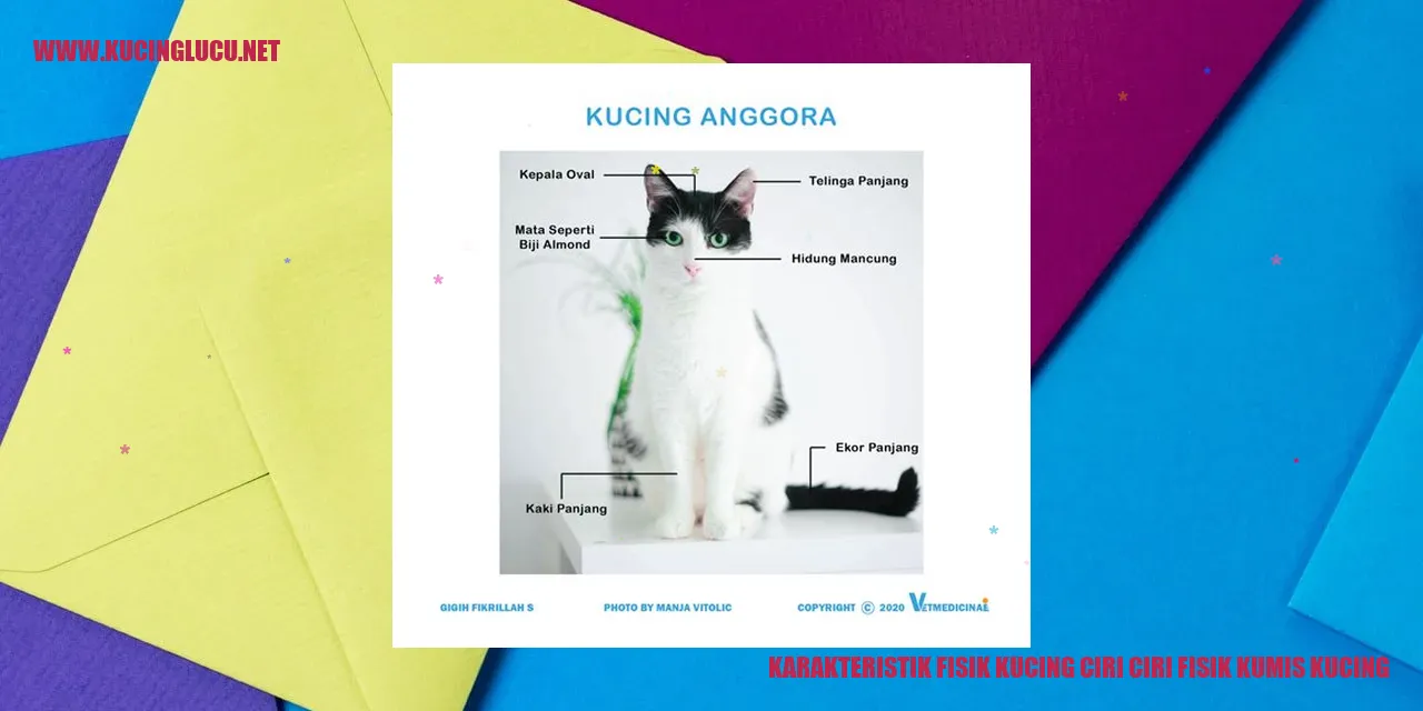 Karakteristik Fisik Kucing ciri ciri fisik kumis kucing