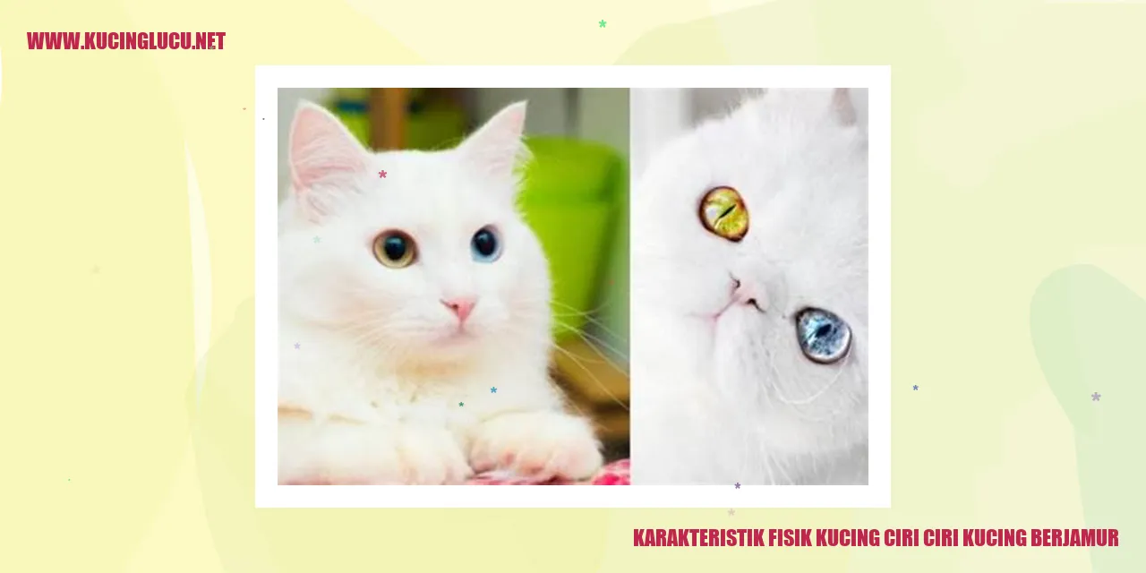Karakteristik Fisik Kucing