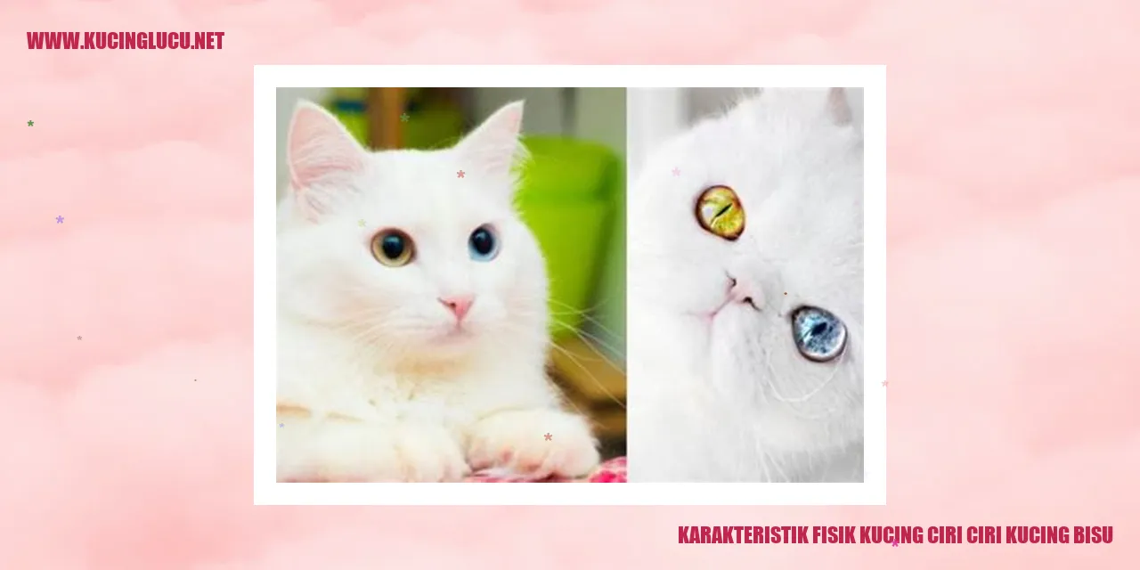 Gambar Kucing Bisu