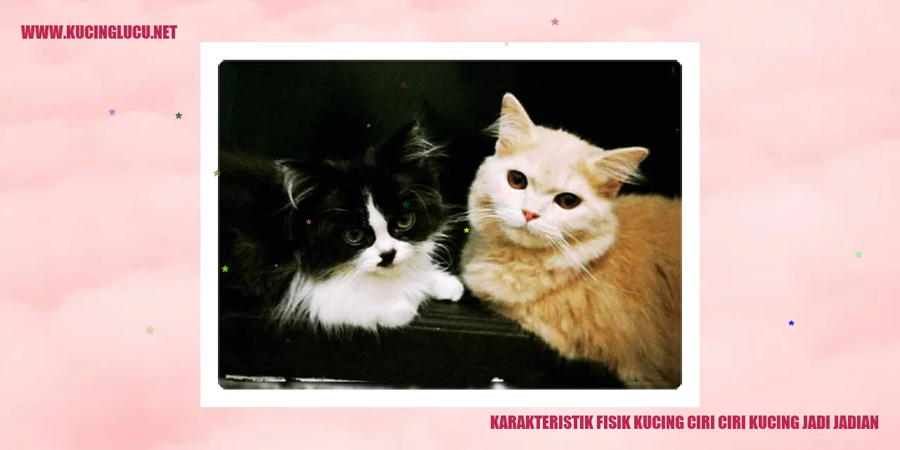 Gambar Kucing Menggemaskan