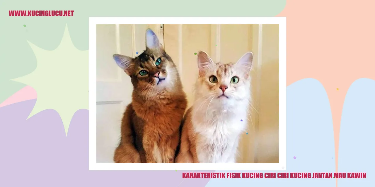 Karakteristik Fisik Kucing