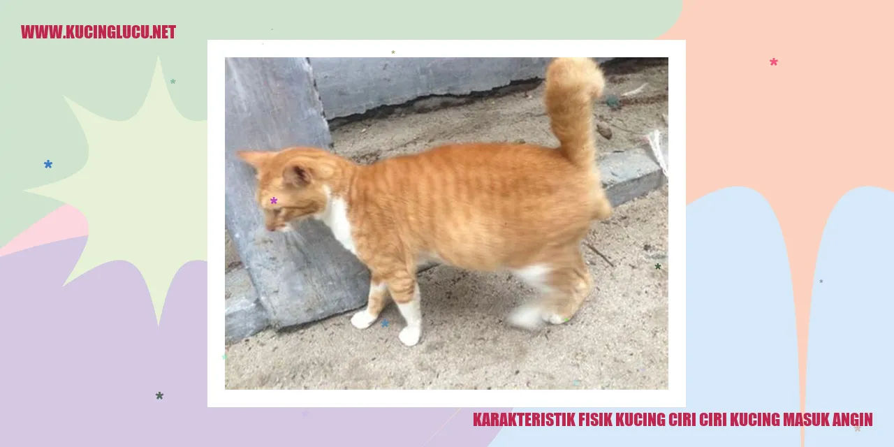 Karakteristik Fisik Kucing