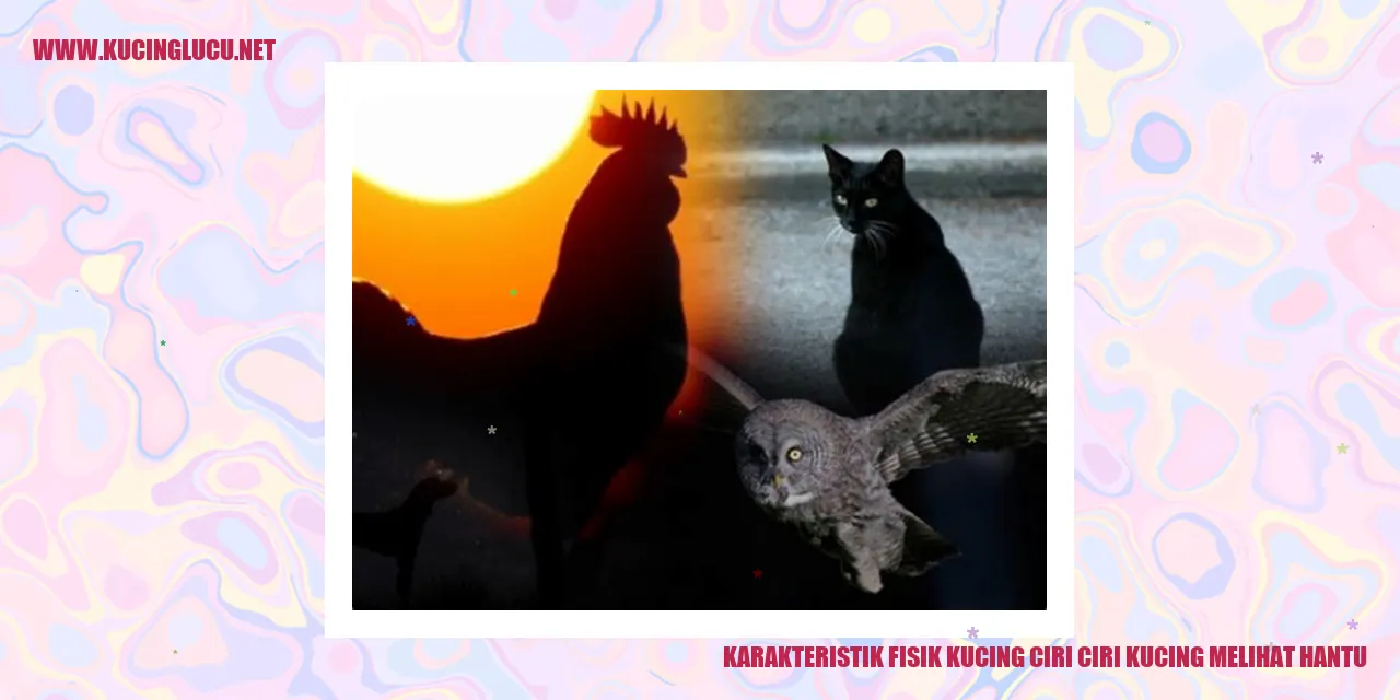 Karakteristik Fisik Kucing