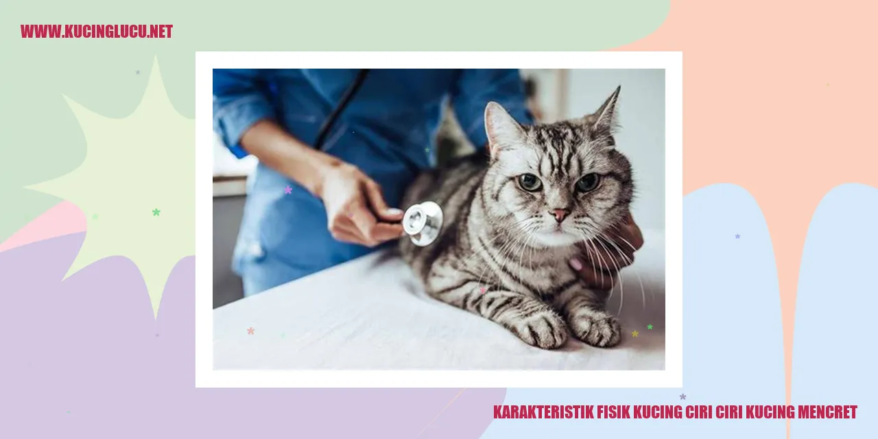 Kucing dengan Karakteristik Fisik Unik