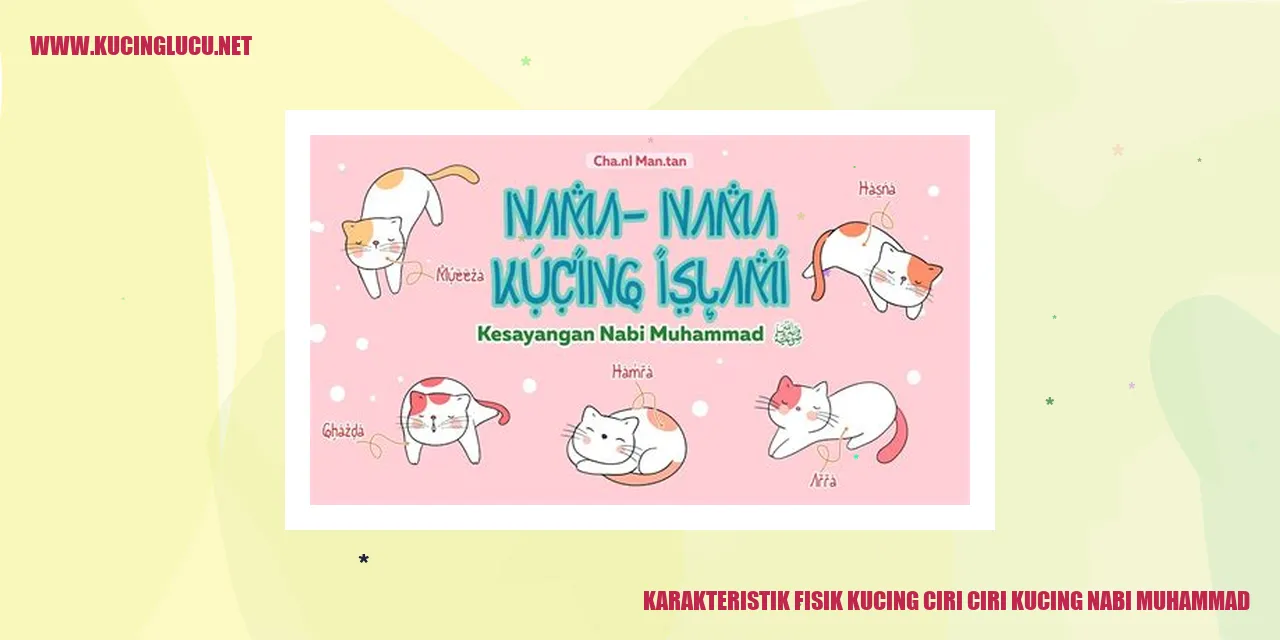 karakteristik fisik kucing