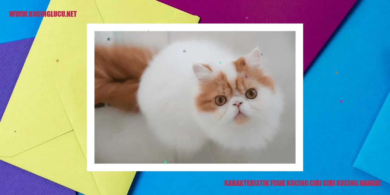 Karakteristik Fisik Kucing