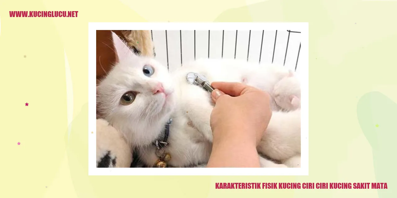 Gambar kucing sakit mata