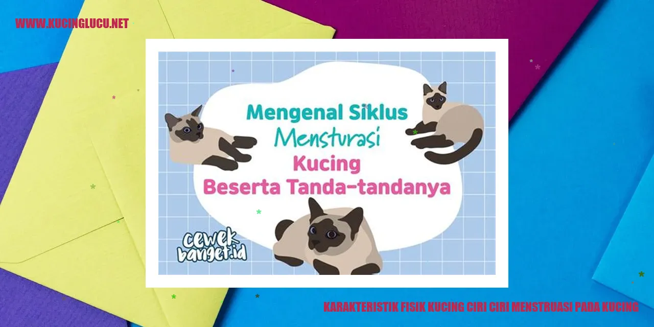 gambar kucing yang menggemaskan