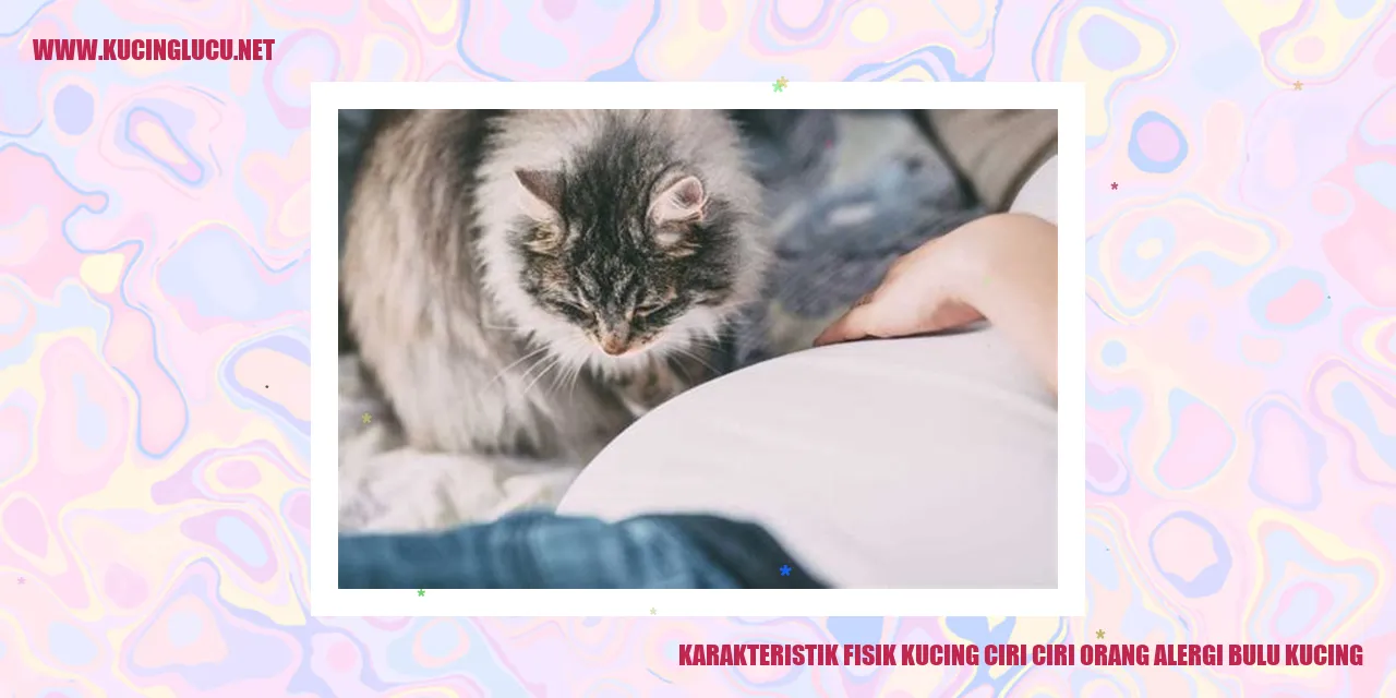 Kucing Lucu