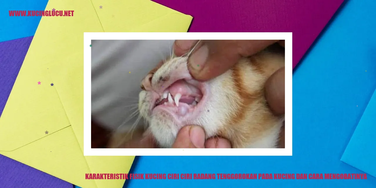Gambar Kucing
