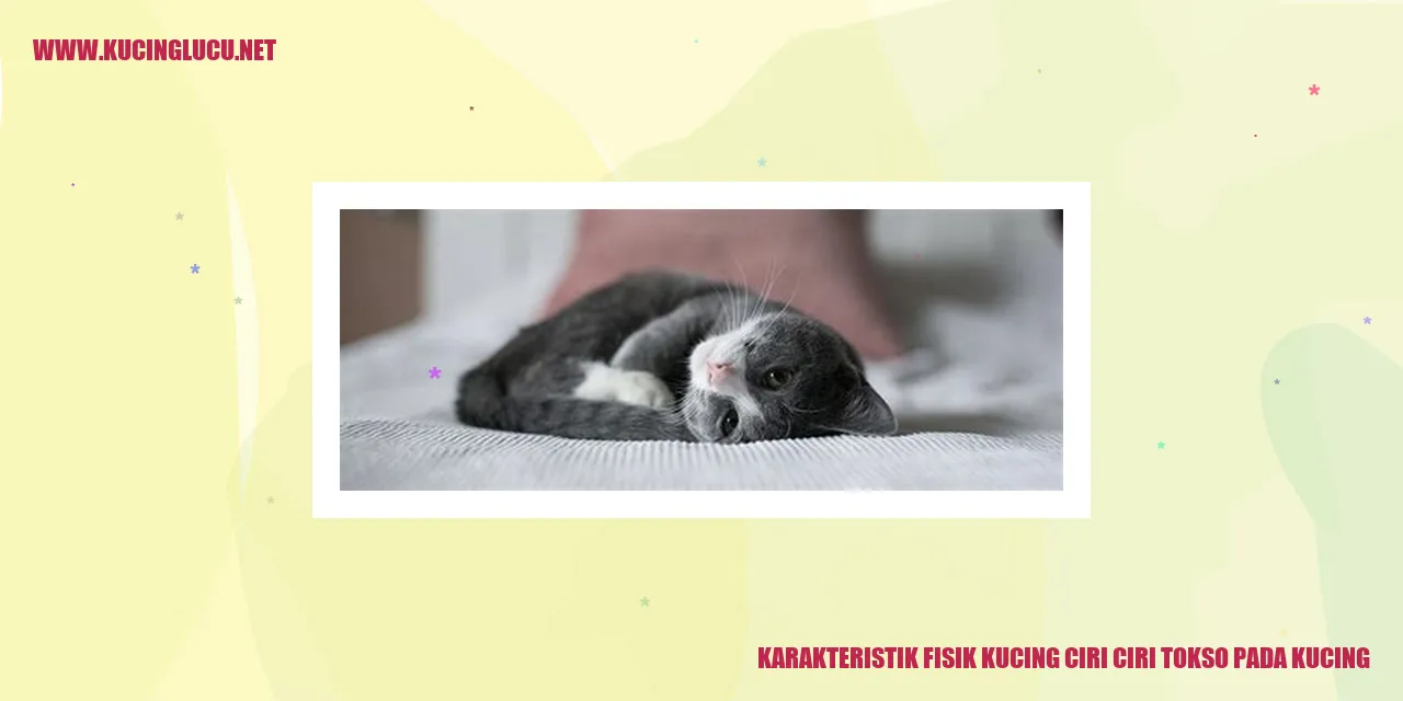 Karakteristik Fisik Kucing