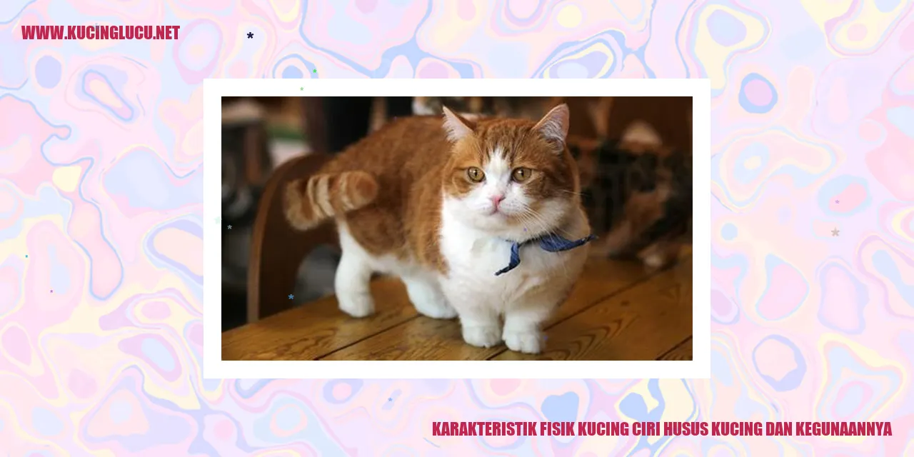 Karakteristik Fisik Kucing