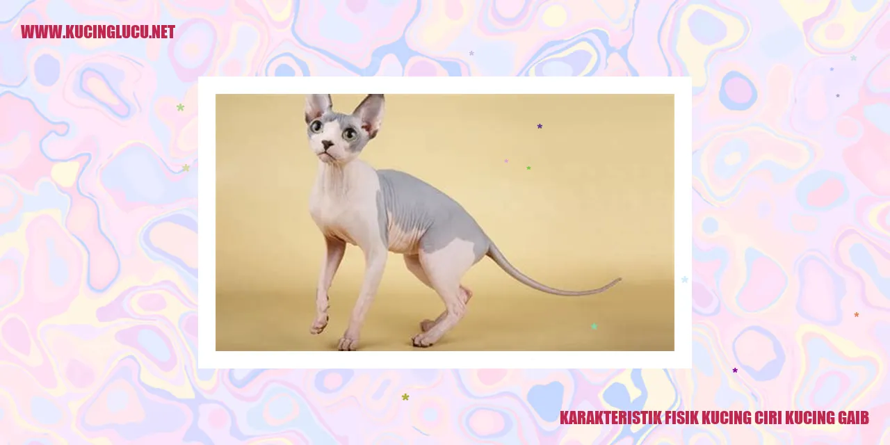 Kucing Gaib