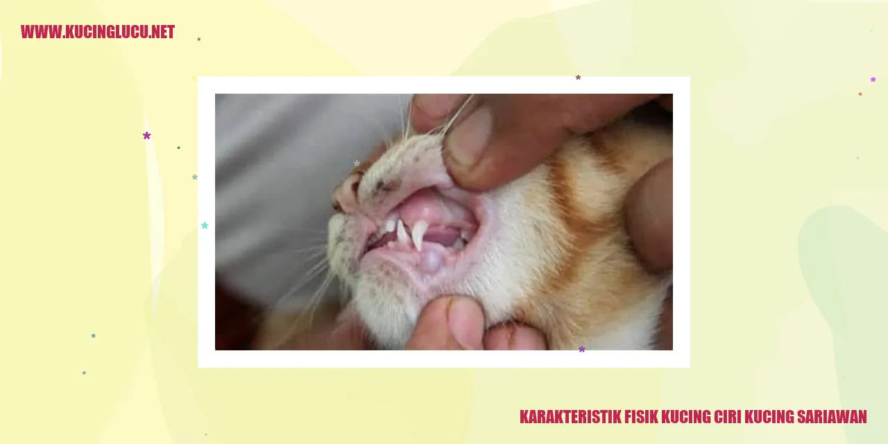 Kucing Mengalami Infeksi Sariawan