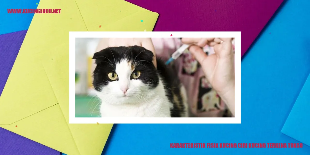 Kucing Terkena Tokso