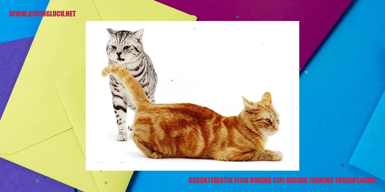 Karakteristik Fisik Kucing Terkena Toksoplasma
