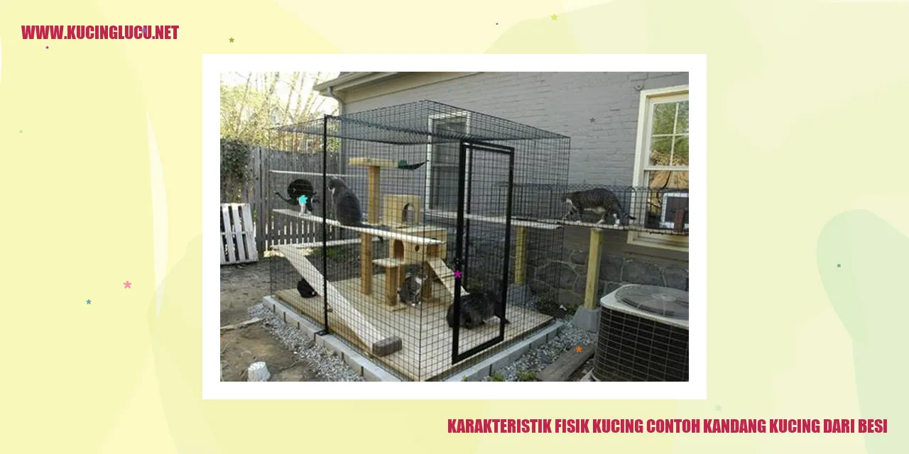 Karakteristik Fisik Kucing contoh kandang kucing dari besi