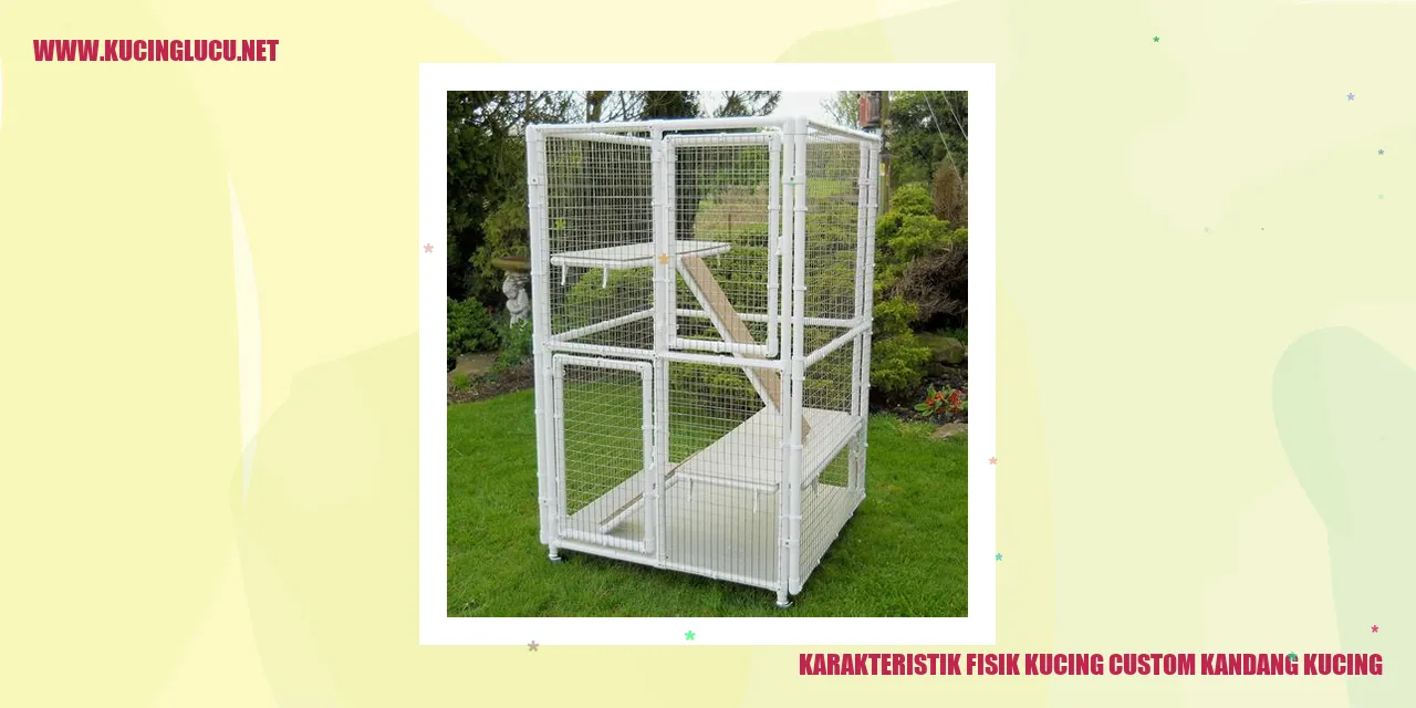Karakteristik Fisik Kucing Custom Kandang Kucing