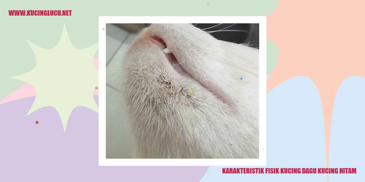 Karakteristik Bodi Kucing Hitam Dagu Hitam