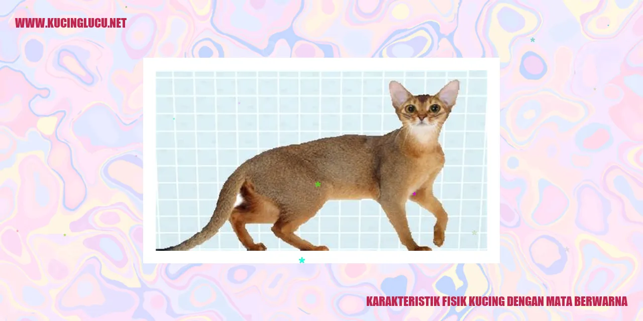 Kucing dengan Mata Berwarna