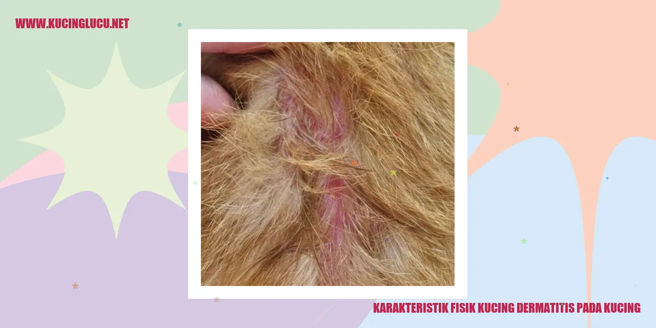 Karakteristik Fisik Kucing Bermasalah Kulit pada Kucing