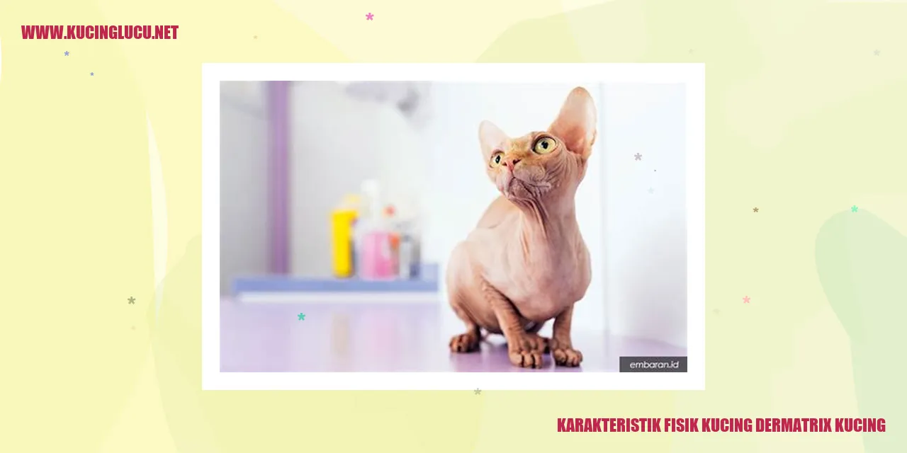 Karakteristik Fisik Kucing Dermatrix Kucing