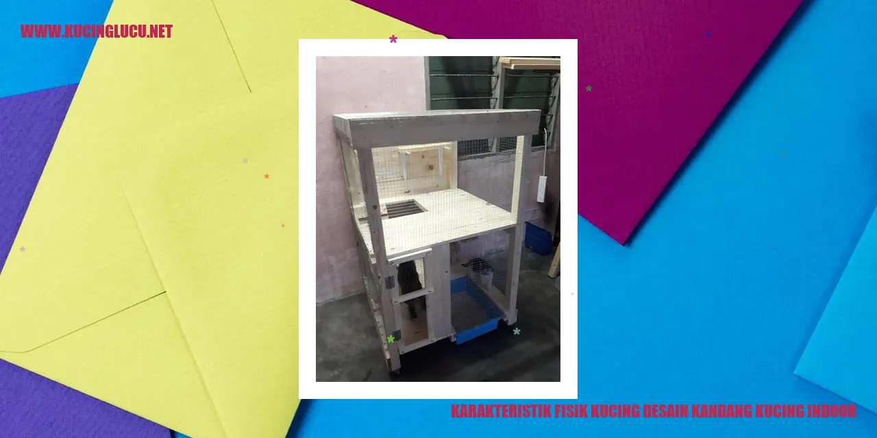 Karakteristik Fisik Kucing dan Desain Kandang Kucing Indoor