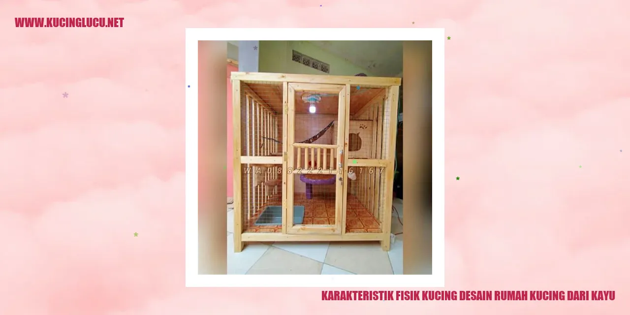 Gambar Karakteristik Fisik Kucing desain rumah kucing dari kayu