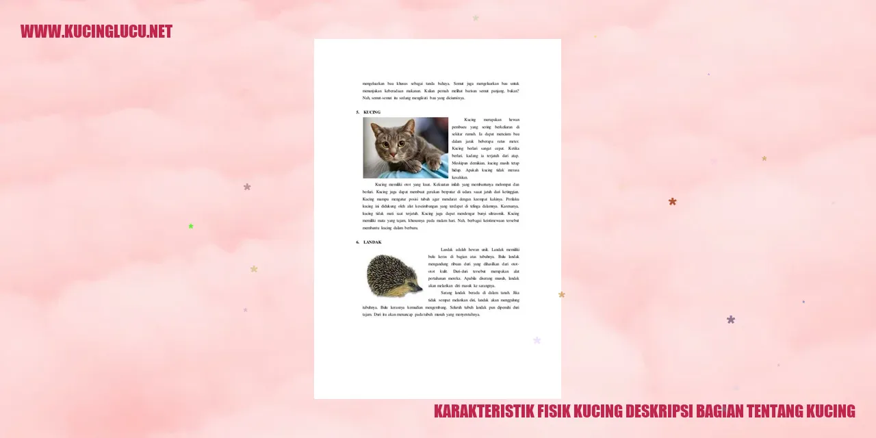 Karakteristik Fisik Kucing