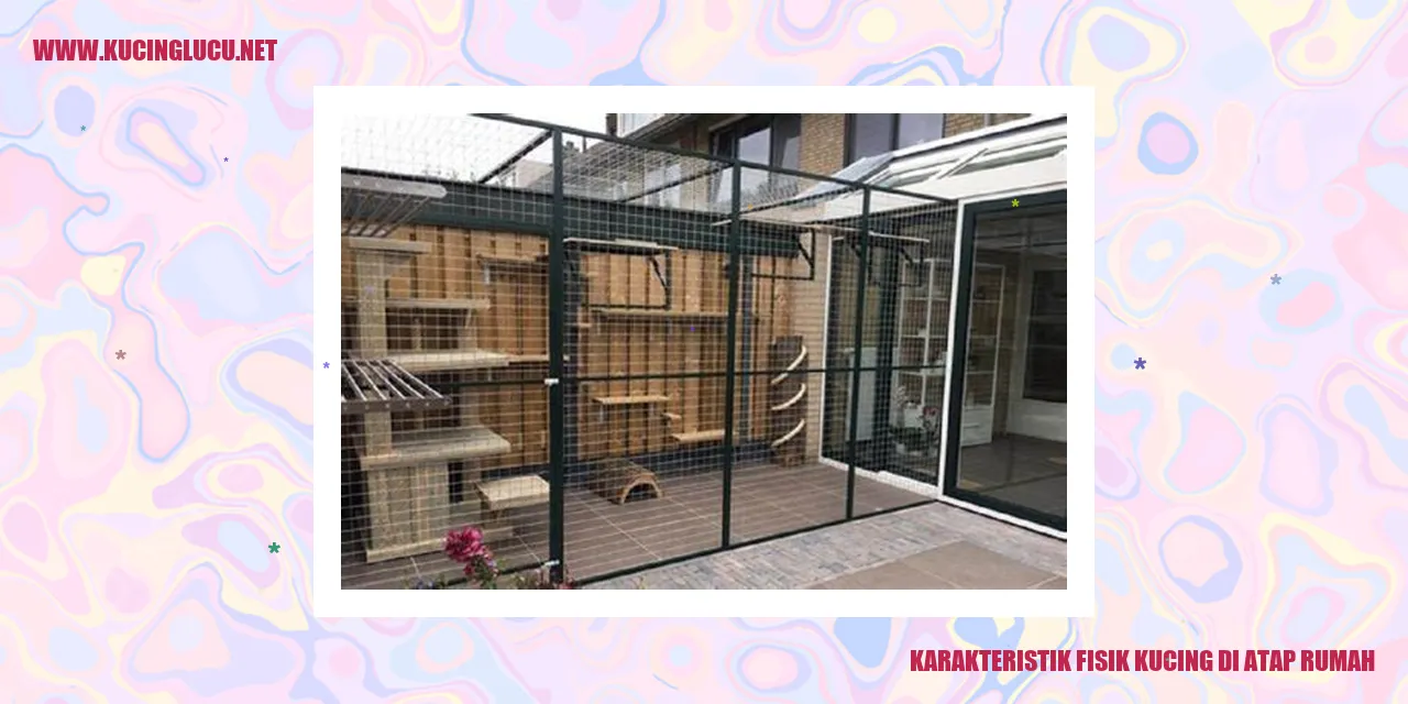 gambar kucing di atap rumah