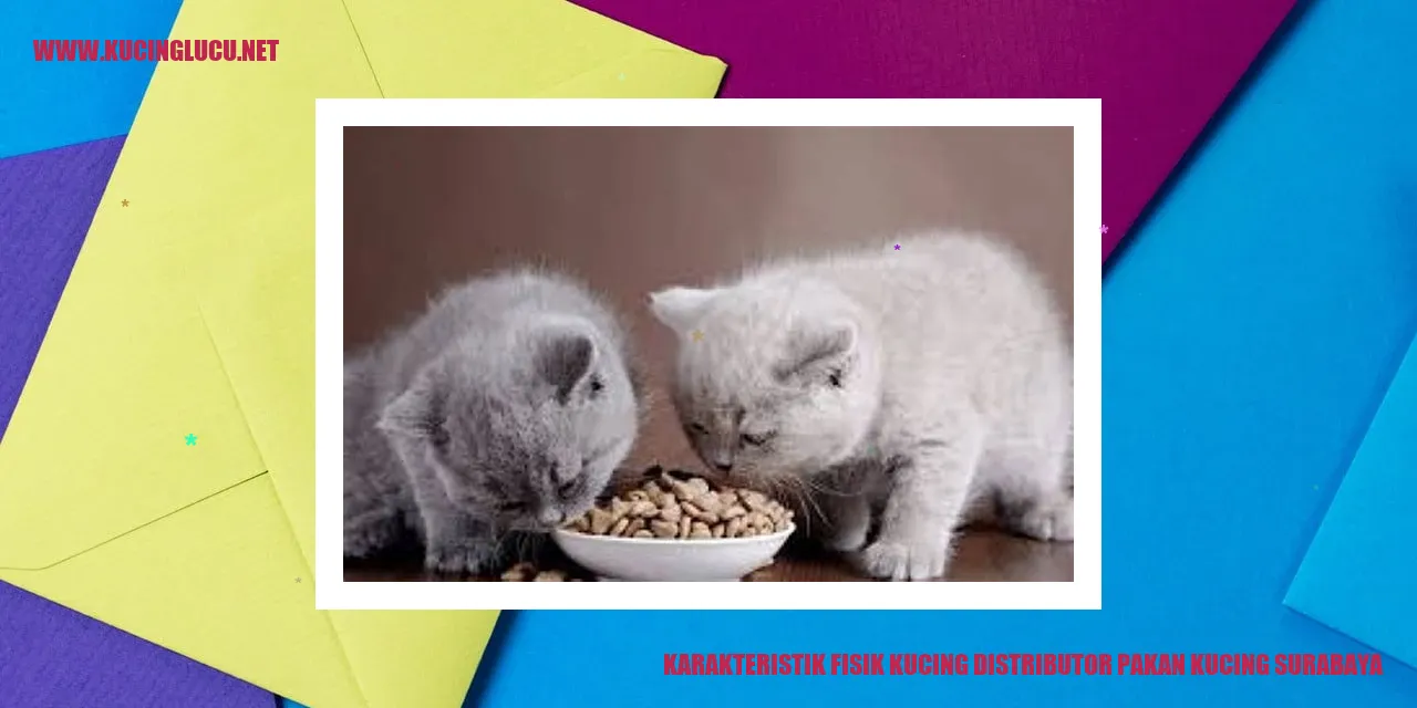 Karakteristik Fisik Kucing distributor pakan kucing surabaya