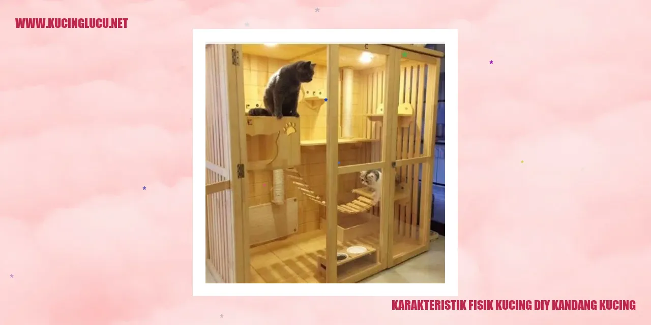 Karakteristik Fisik Kucing diy kandang kucing
