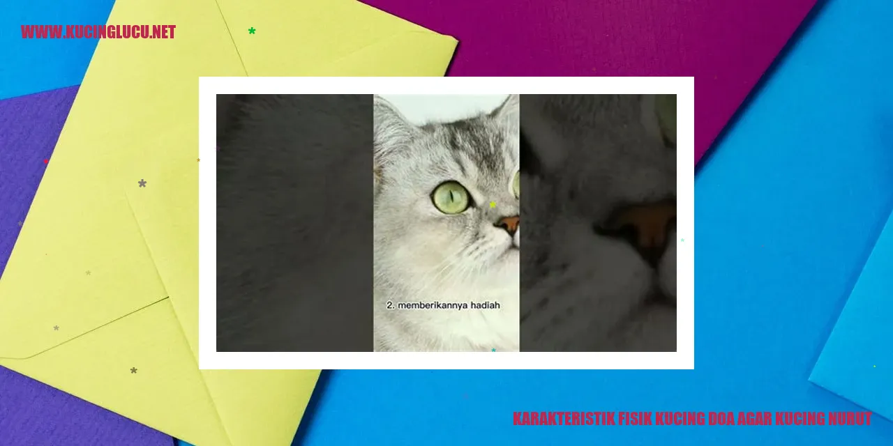 Gambar Kucing
