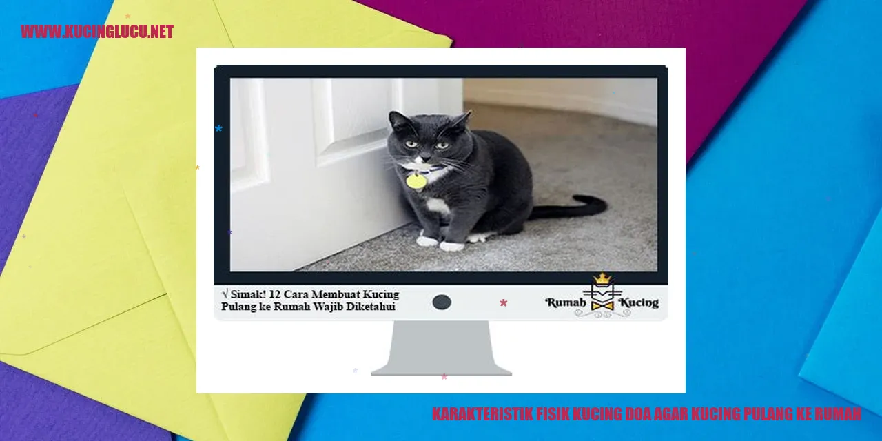Karakteristik Fisik Kucing