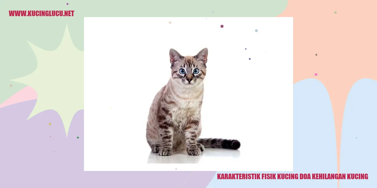 Karakteristik Fisik Kucing