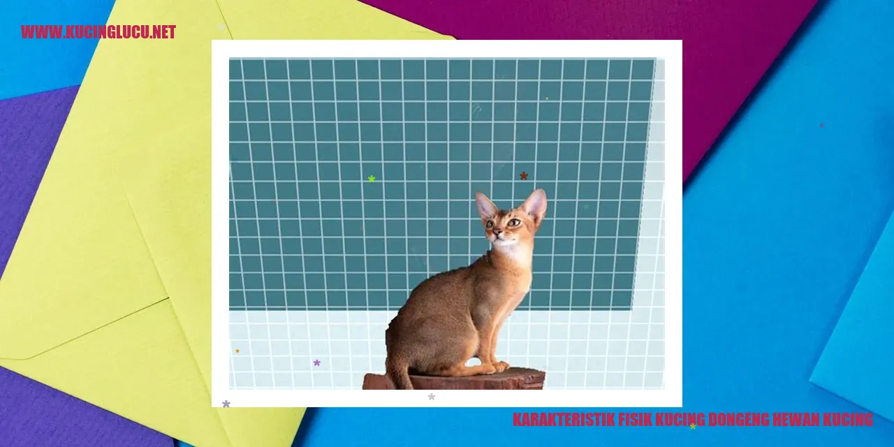 Karakteristik Fisik Kucing dongeng hewan kucing