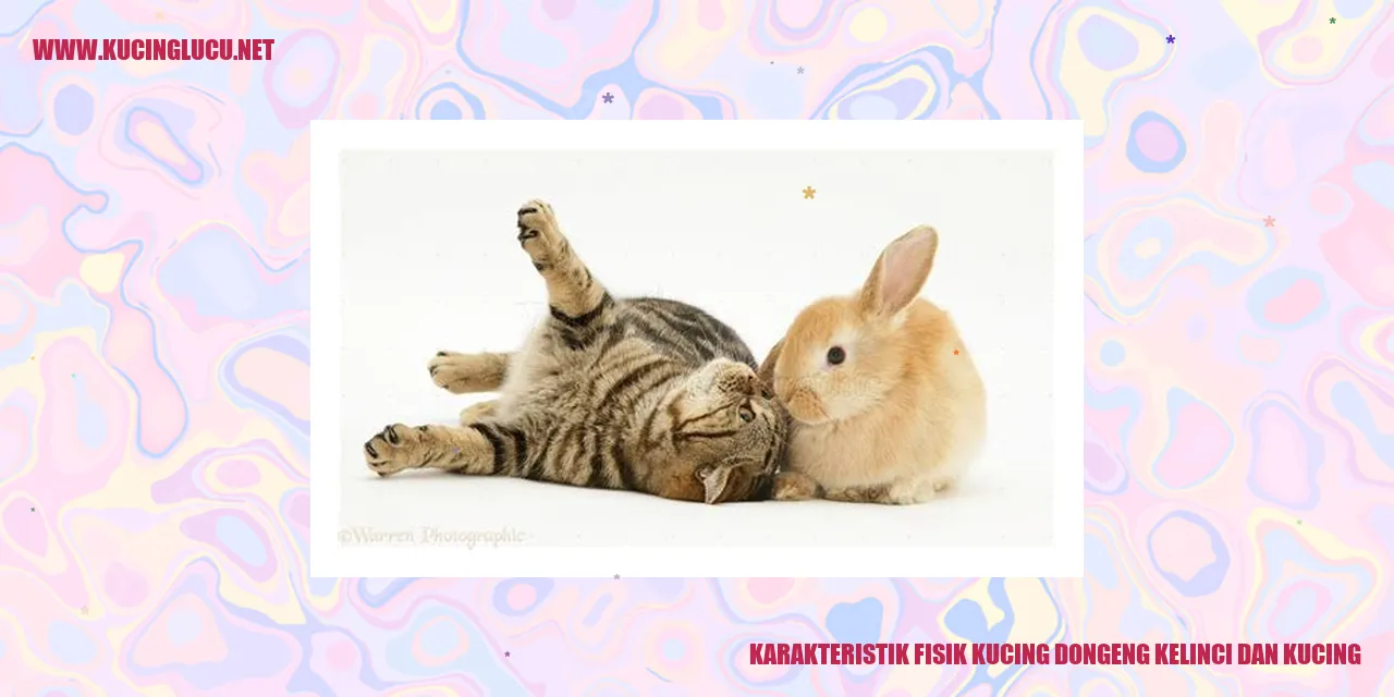gambar karakteristik fisik kucing cerita dongeng