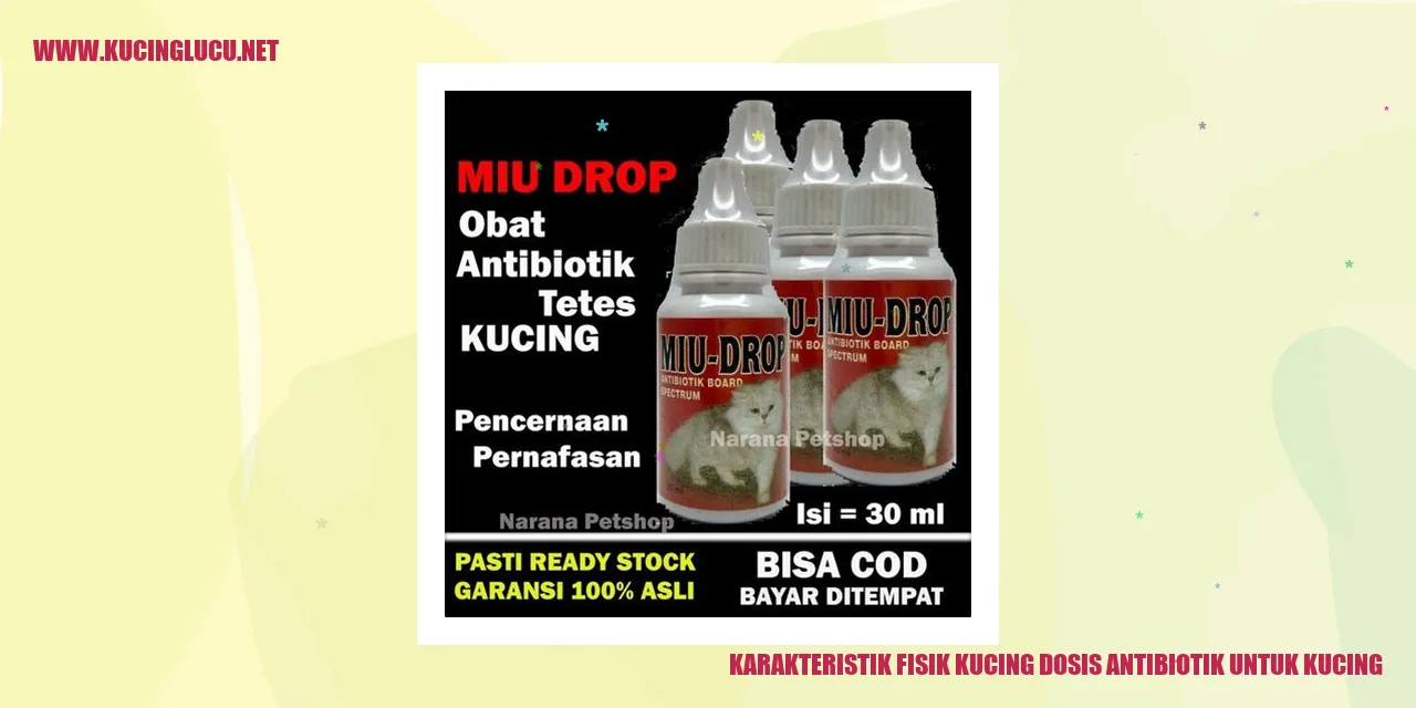Karakteristik Fisik Kucing dan Penggunaan Antibiotik pada Kucing