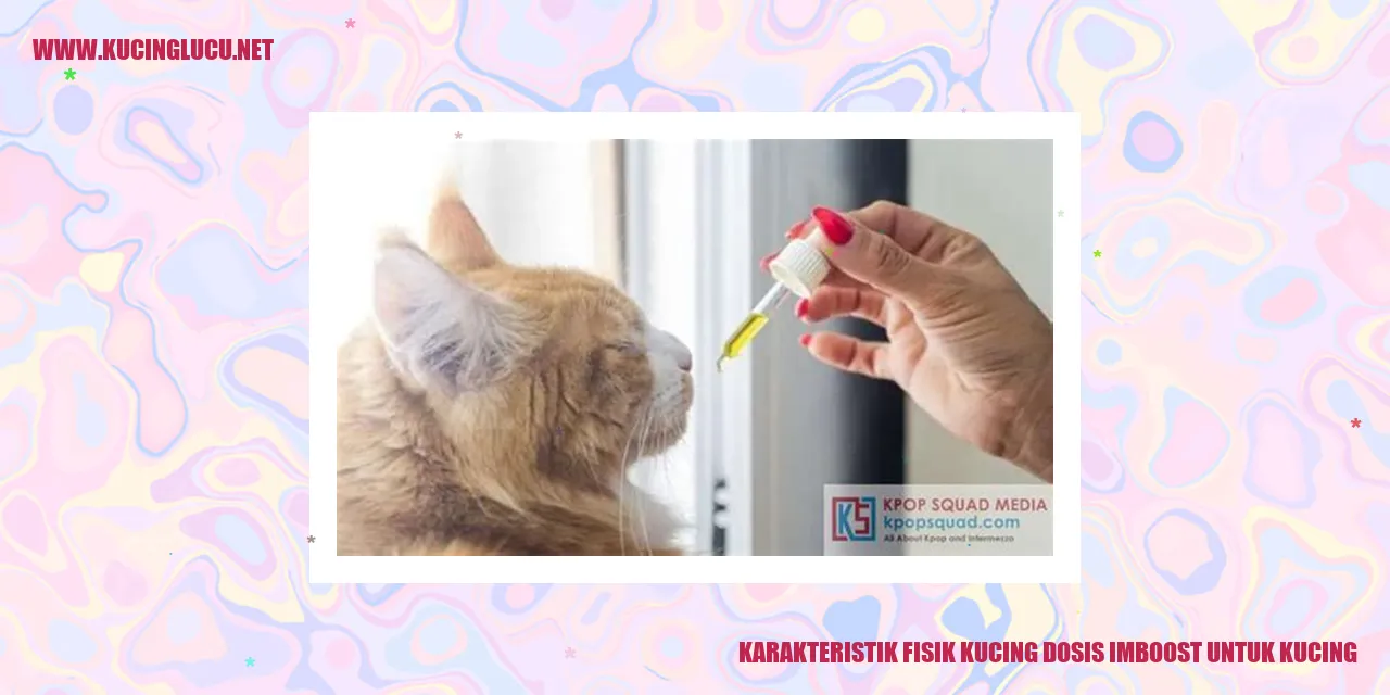 Karakteristik Fisik Kucing