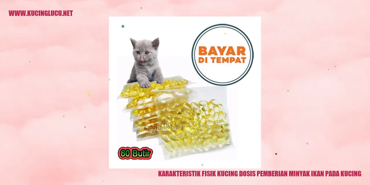 Kucing dengan fisik yang unik