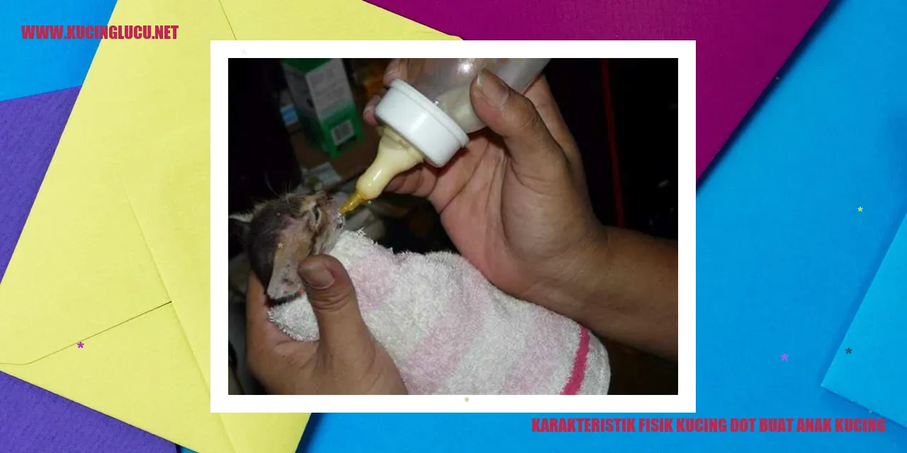 gambar kucing dan anak kucing