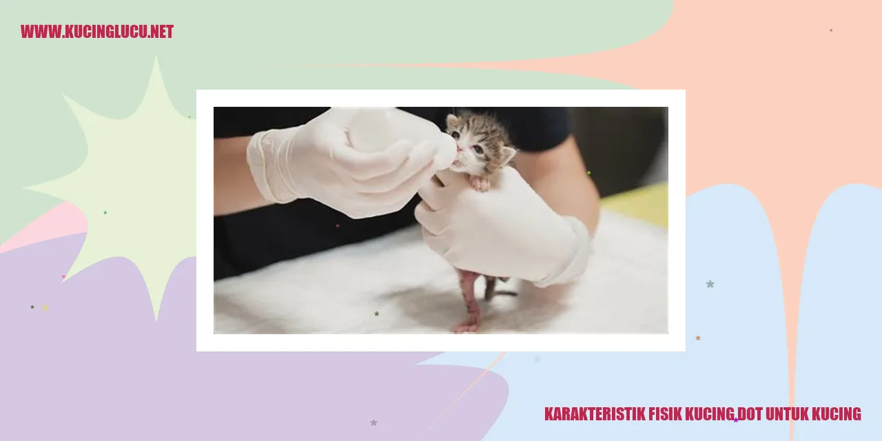 Karakteristik Fisik Kucing dot untuk kucing