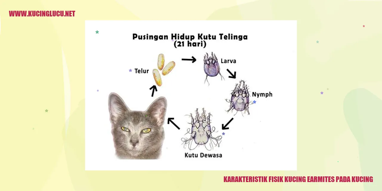 Karakteristik Fisik Kucing earmites pada kucing