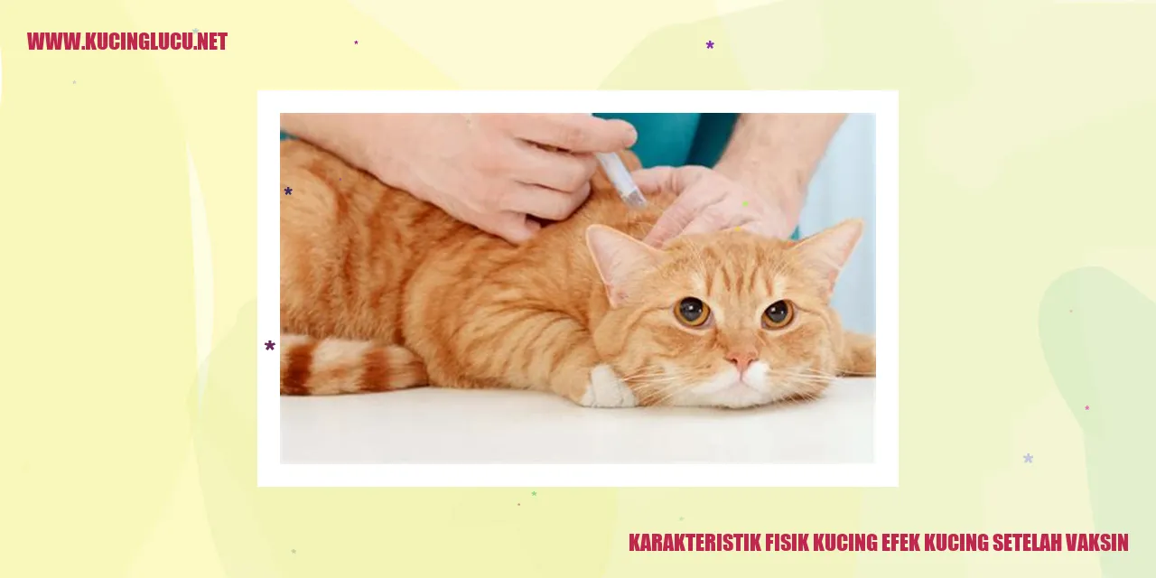Karakteristik Fisik Kucing