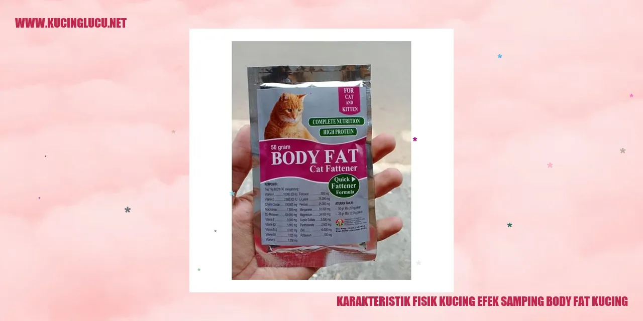 Kucing Obesitas