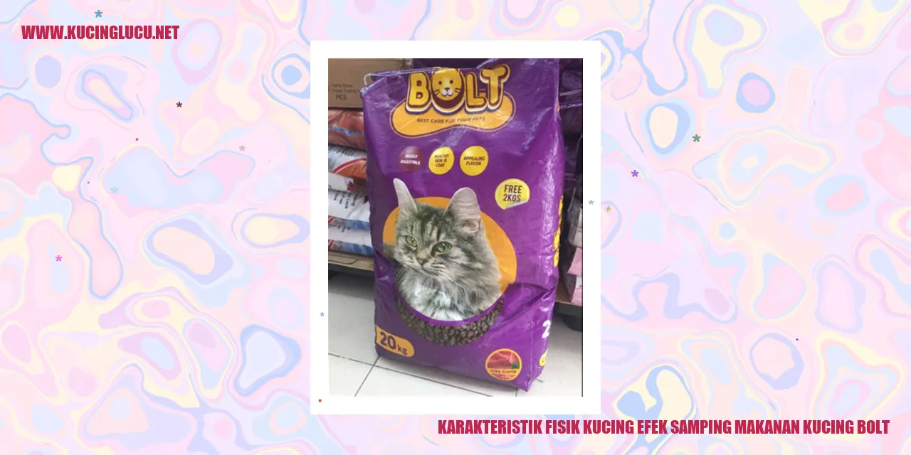 Gambar Kucing